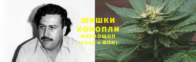 omg ссылки  Качканар  Бошки Шишки OG Kush 